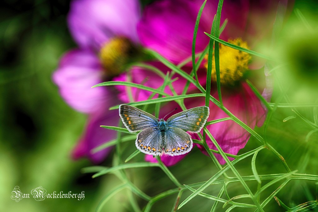 Photo of the&nbsp;day