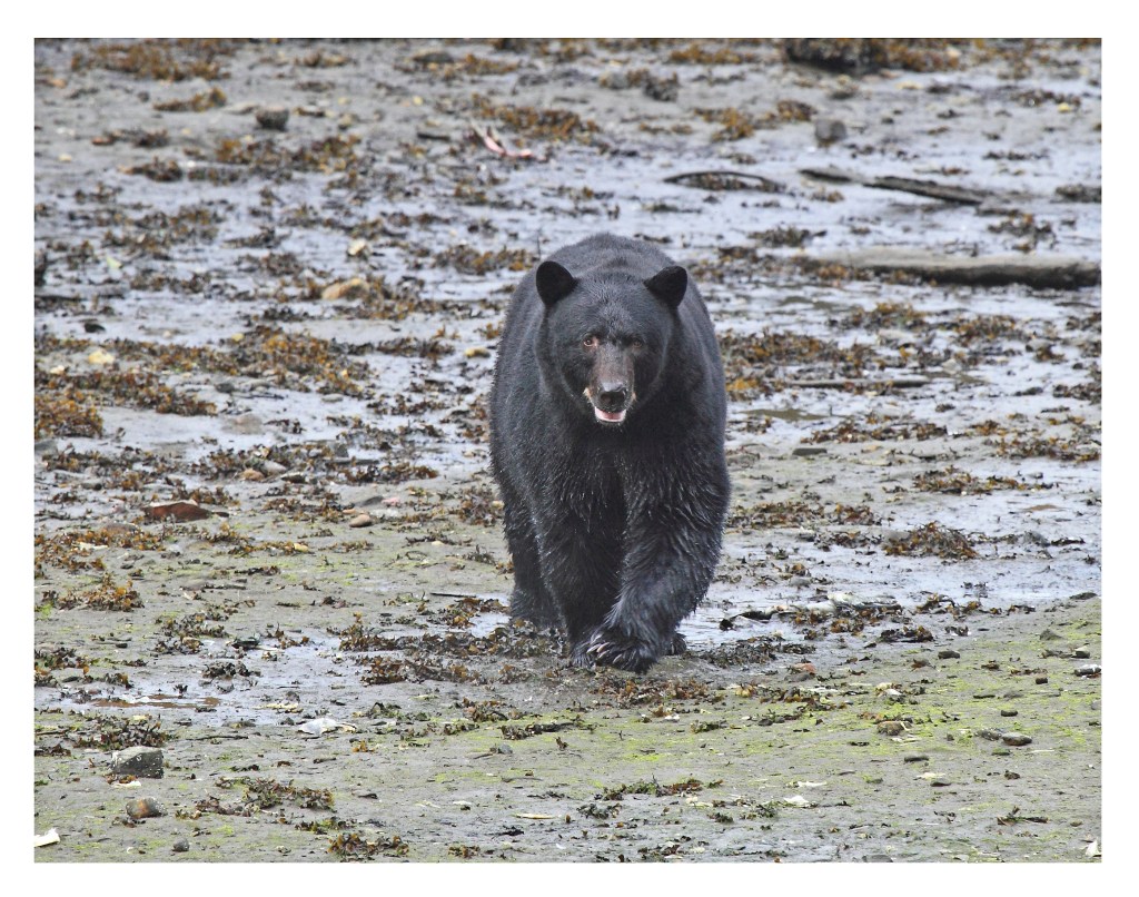 Photo of the&nbsp;day