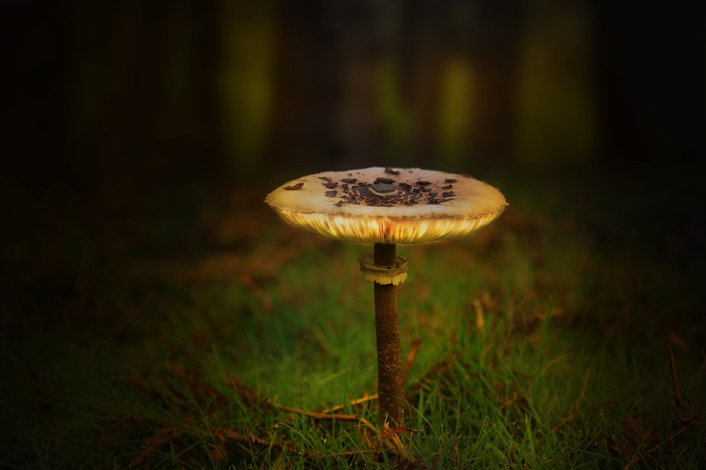 Photo of the&nbsp;day