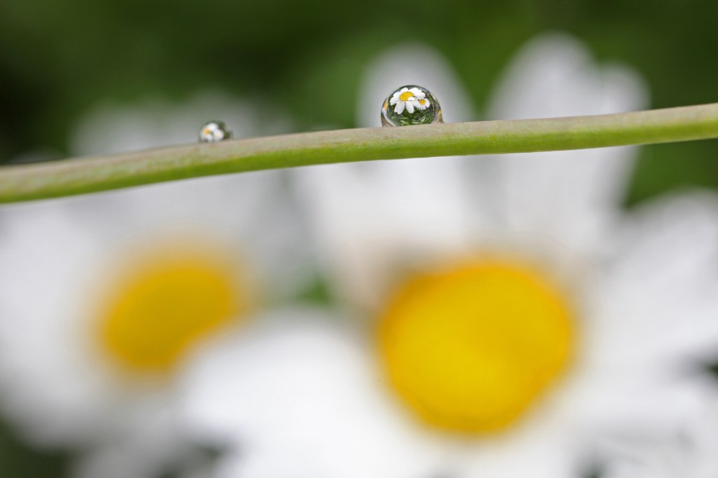 Photo of the&nbsp;day