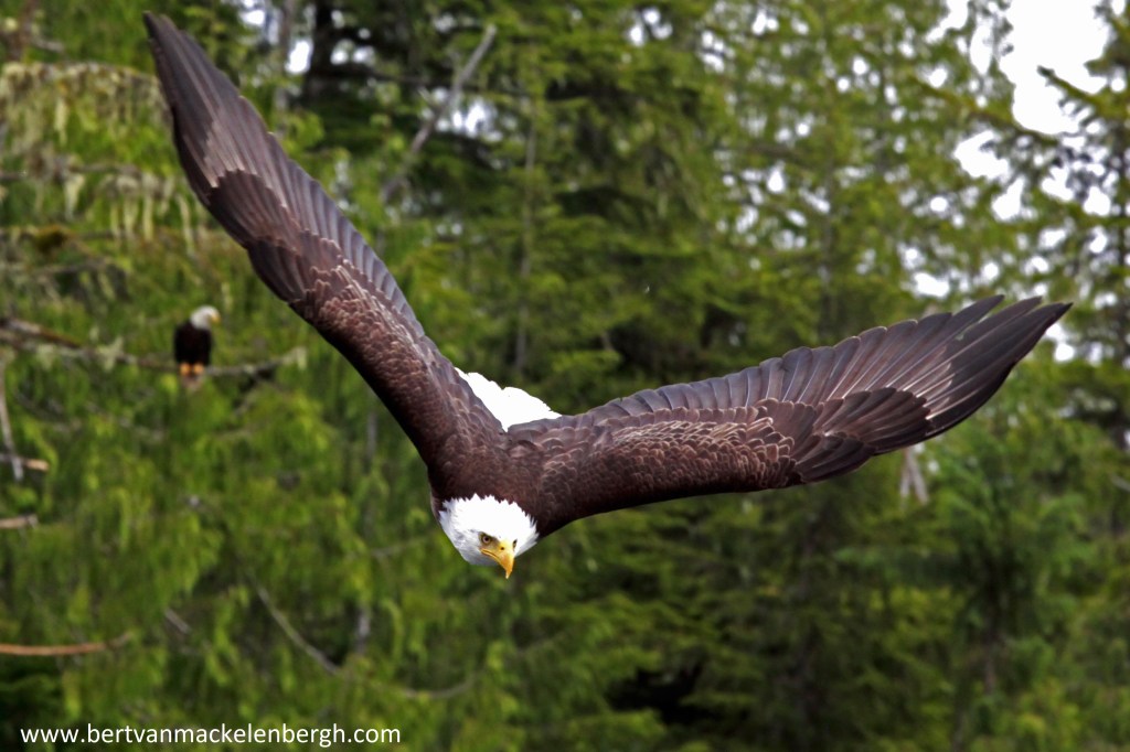 Photo of the&nbsp;day