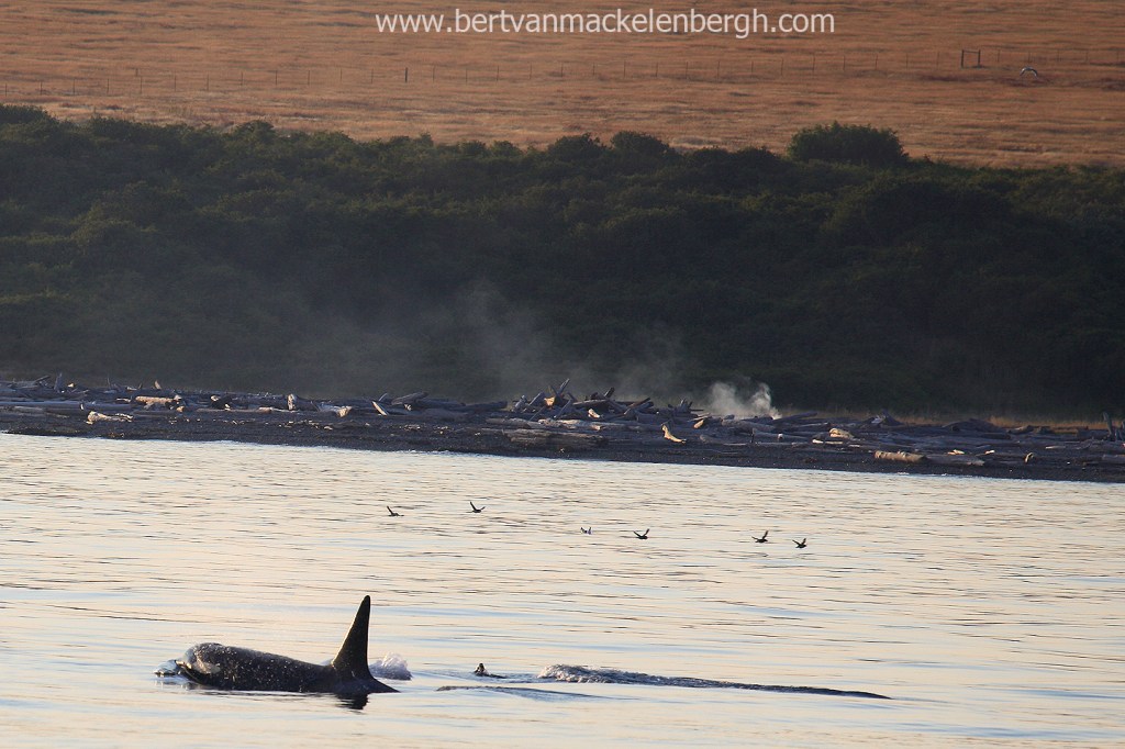 Photo of the&nbsp;day