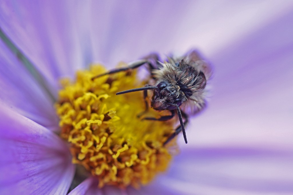 Photo of the&nbsp;day