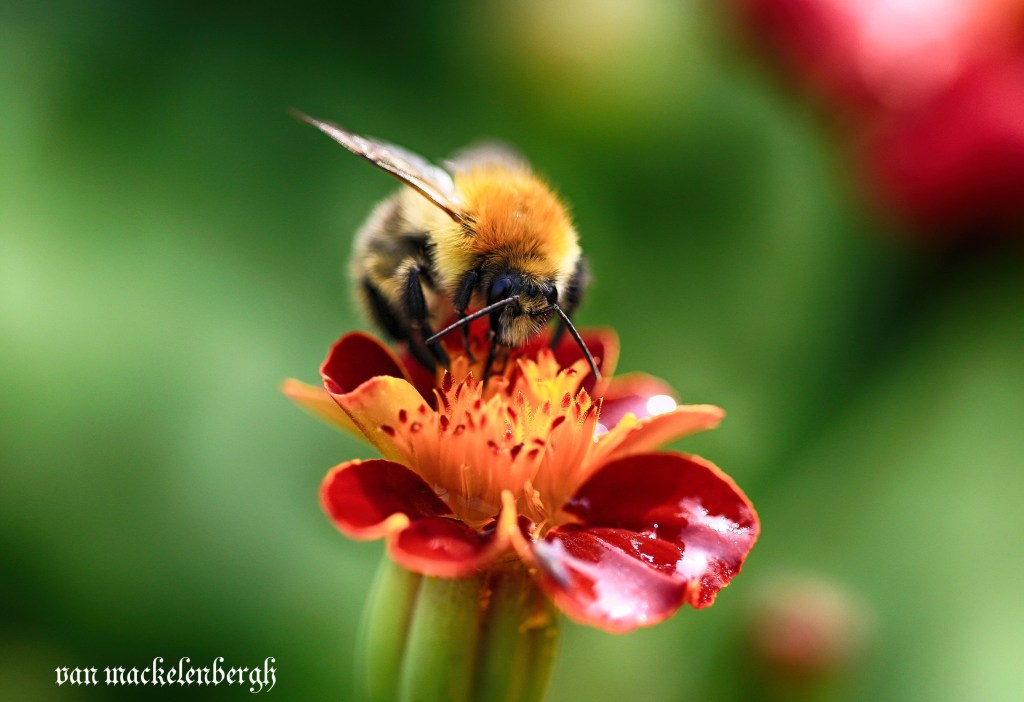 Photo of the&nbsp;day