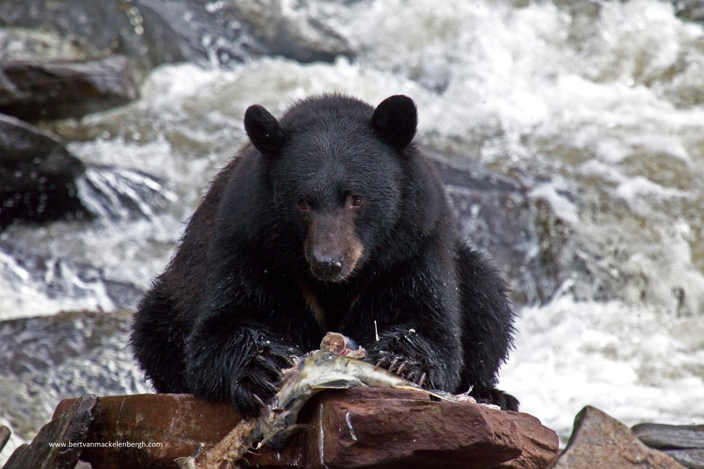 Photo of the&nbsp;day