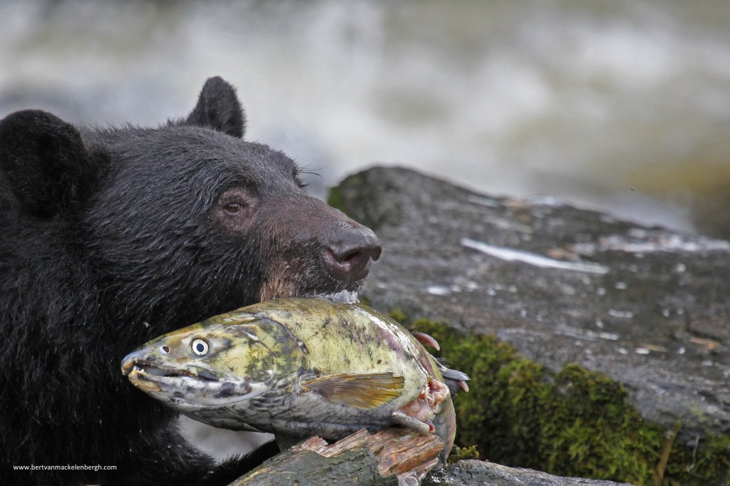 Photo of the&nbsp;day