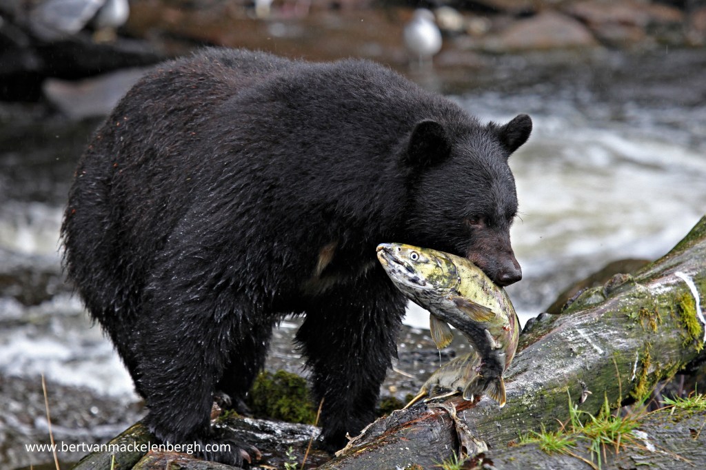 Photo of the&nbsp;day