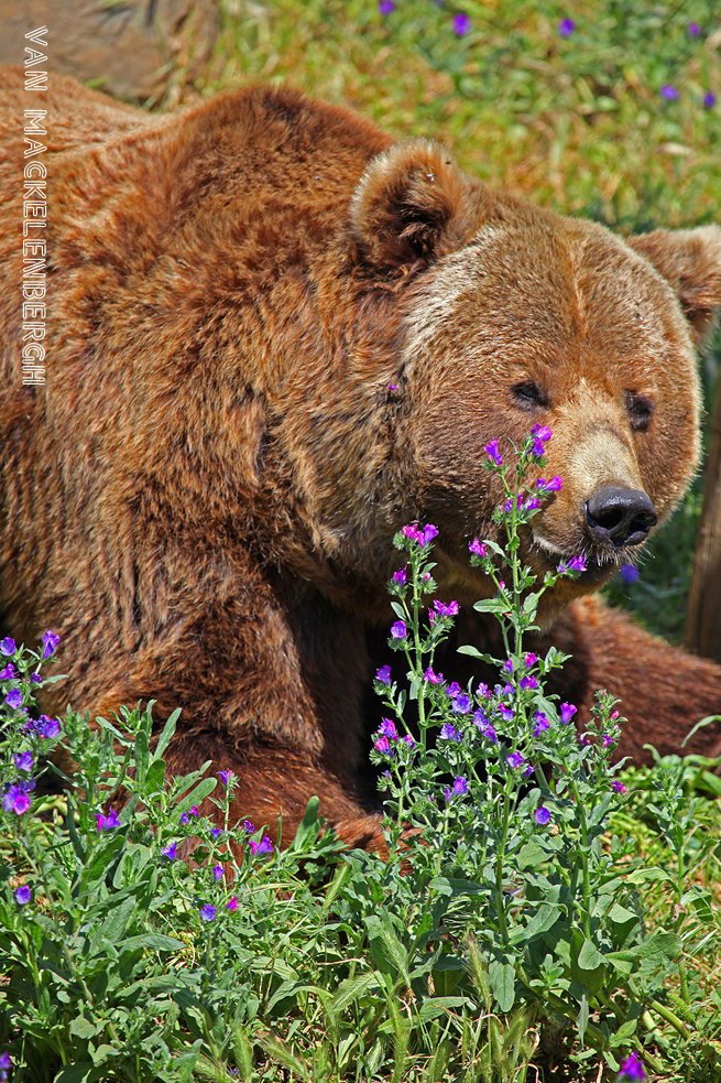 Photo of the&nbsp;day