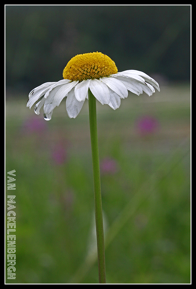 Photo of the&nbsp;day