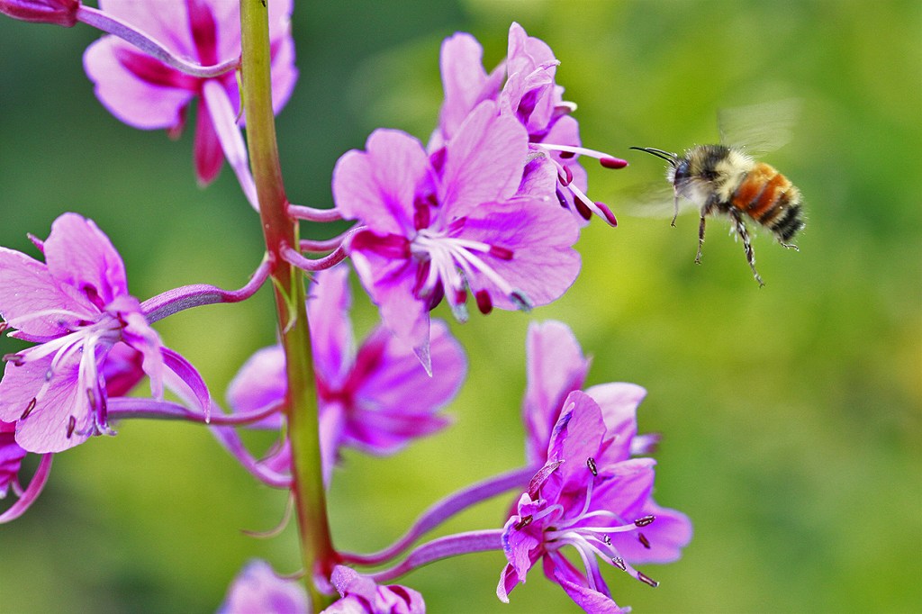 Photo of the&nbsp;day