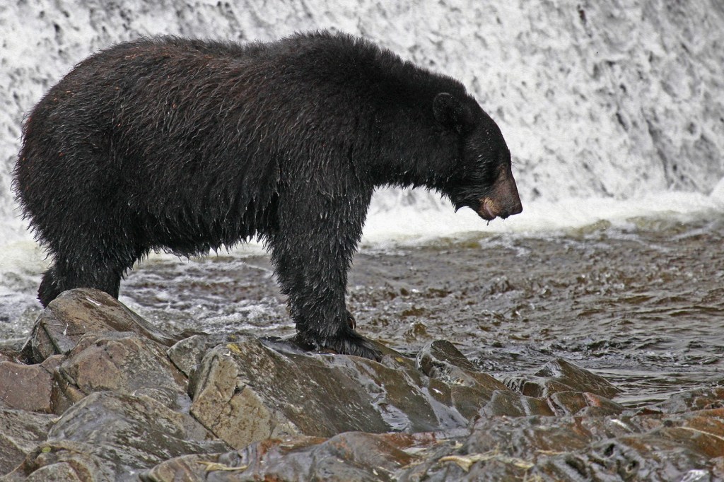 Photo of the&nbsp;day