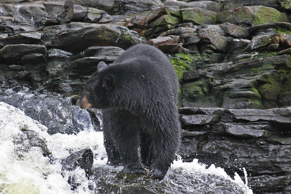 Photo of the&nbsp;day