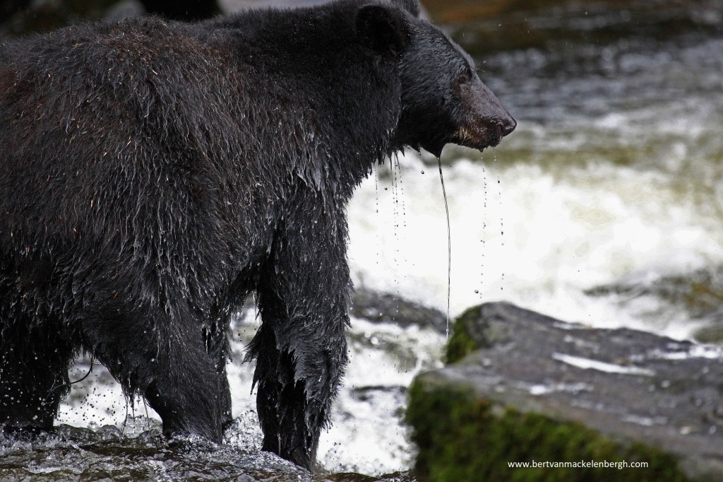 Photo of the&nbsp;day