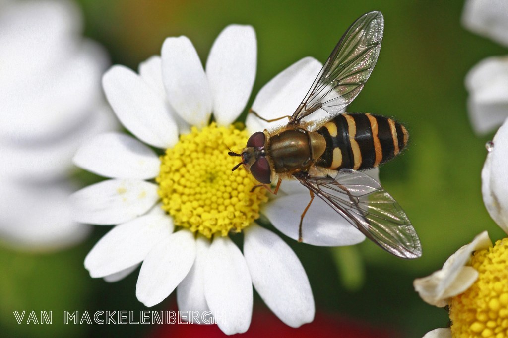 Photo of the&nbsp;day