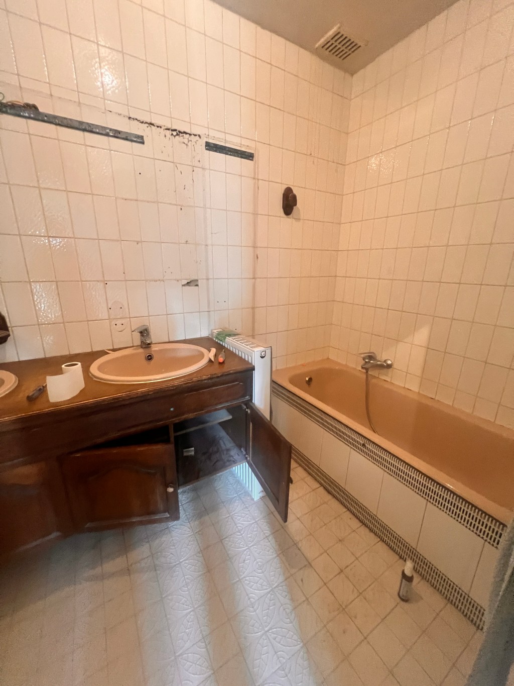 The big renovation: the&nbsp;bathroom